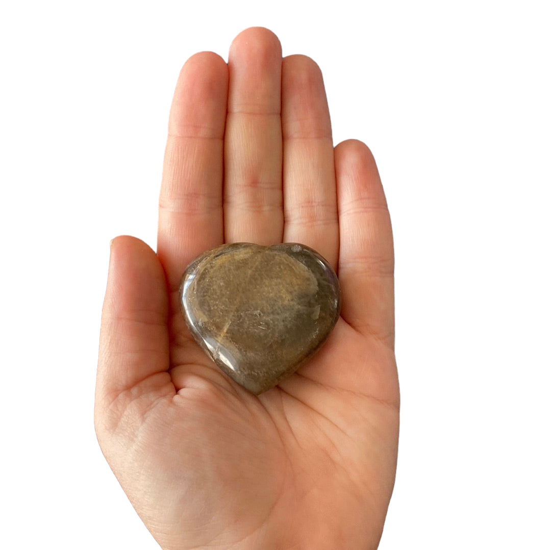 63g Black Moonstone Heart