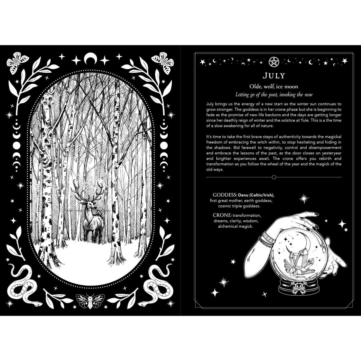 2026 Witch's Diary Southern Hemisphere