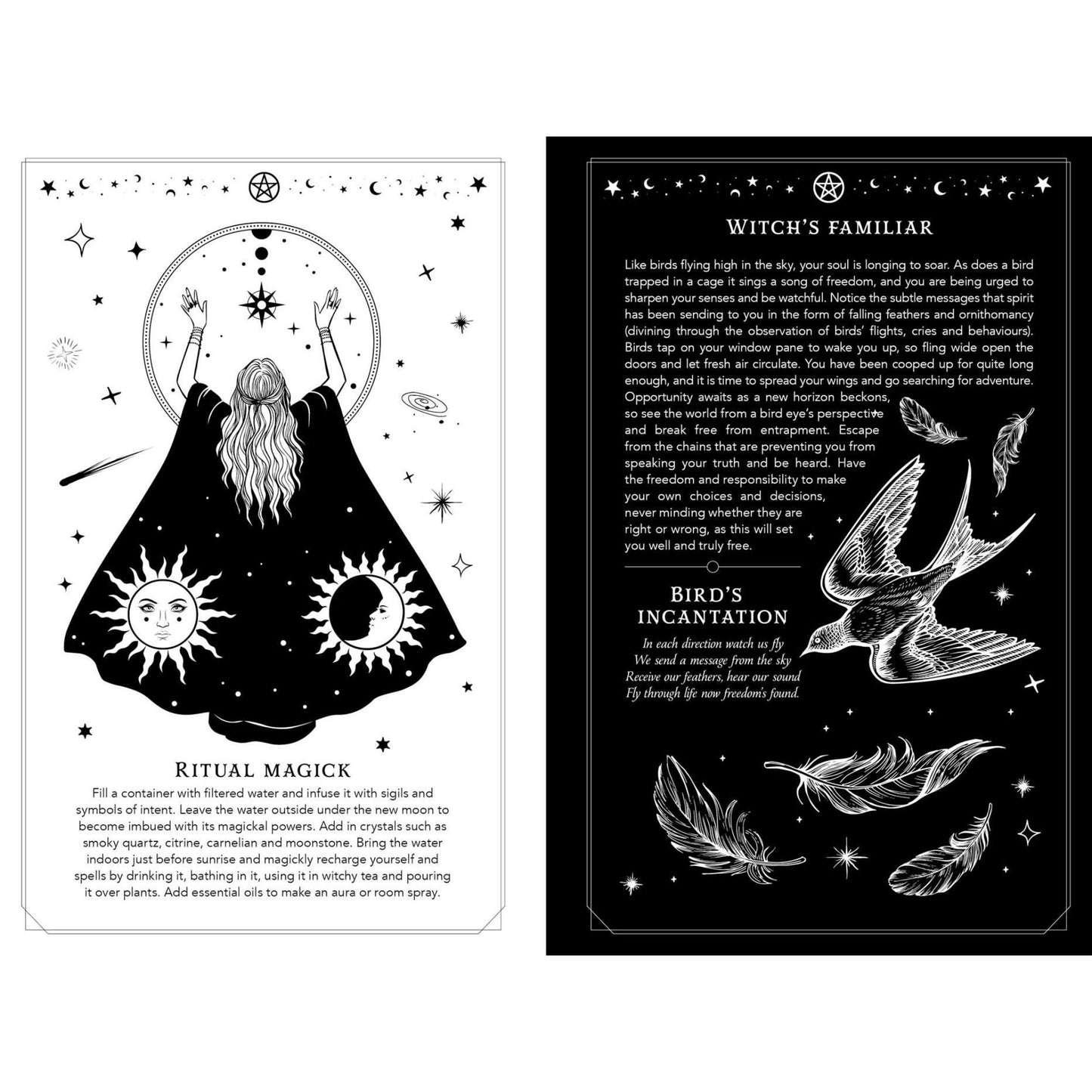 2026 Witch's Diary Southern Hemisphere