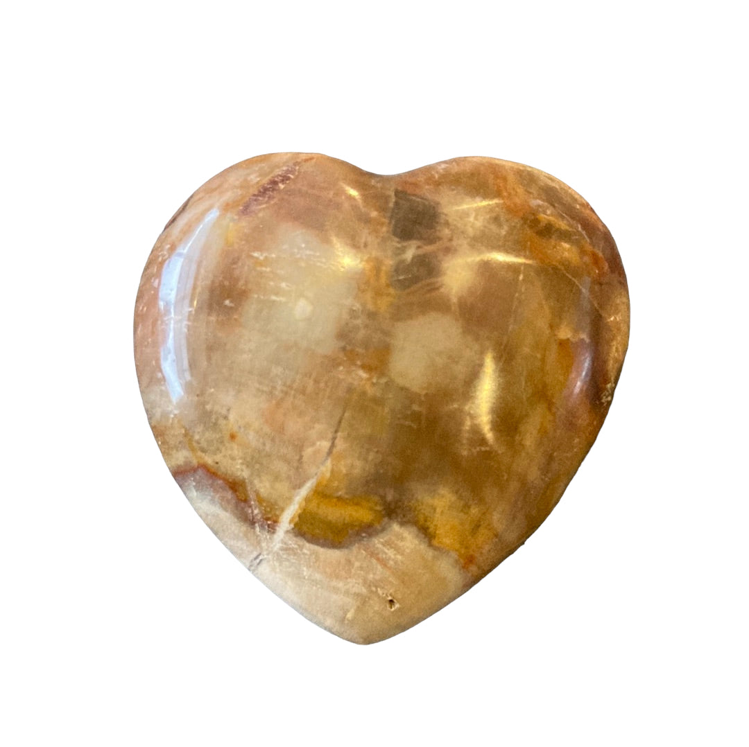 39g Petrified Wood Heart