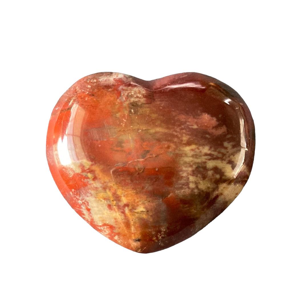 61g Petrified Wood Heart