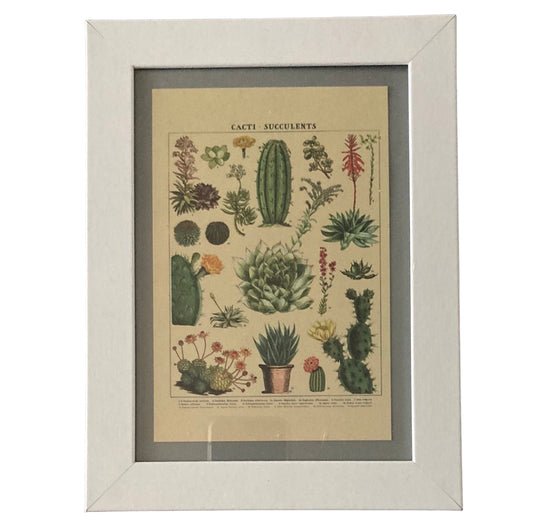 Framed Vintage Art-Cacti