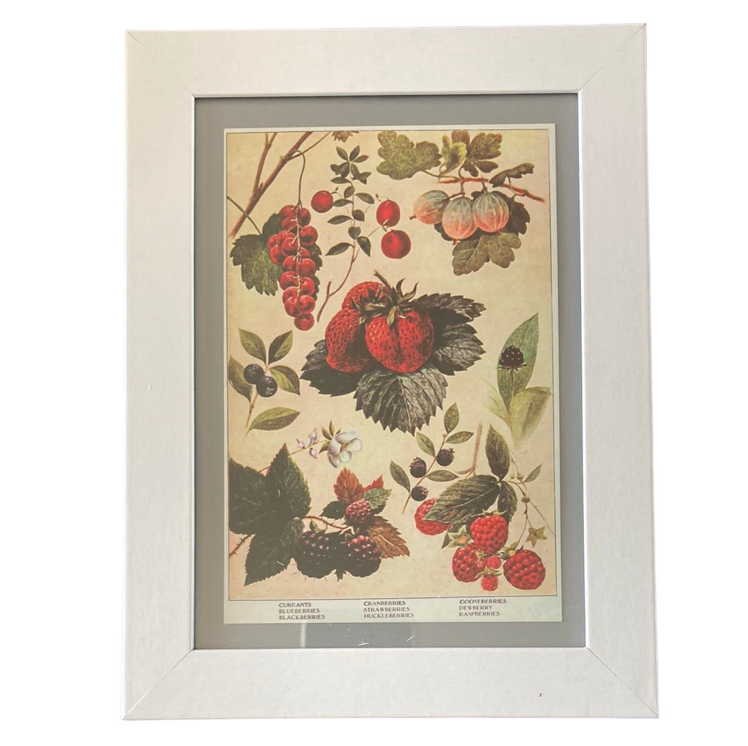 Framed Vintage Art-Berries