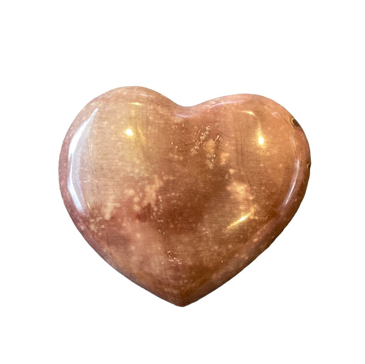 40g Petrified Wood Heart