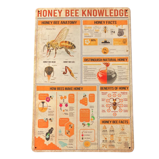Honey Bee Knowledge Metal Wall Art