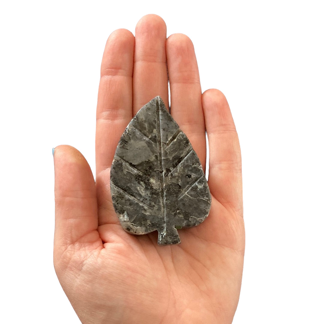 69g Larvikite Leaf