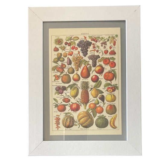 Framed Vintage Art-Fruits