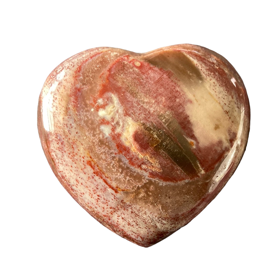 45g Petrified Wood Heart