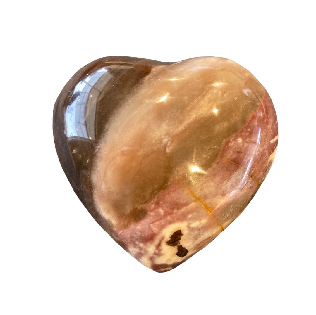 68g Petrified Wood Heart