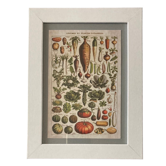 Framed Vintage Art-Légumes