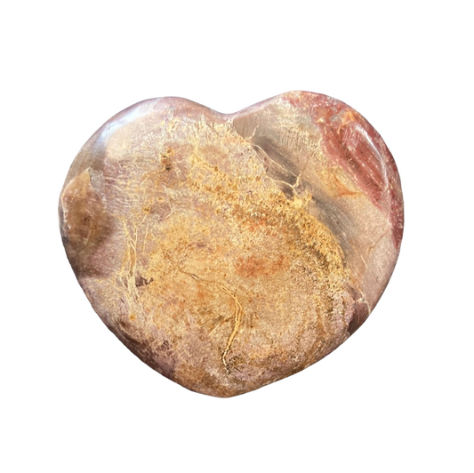 48g Petrified Wood Heart
