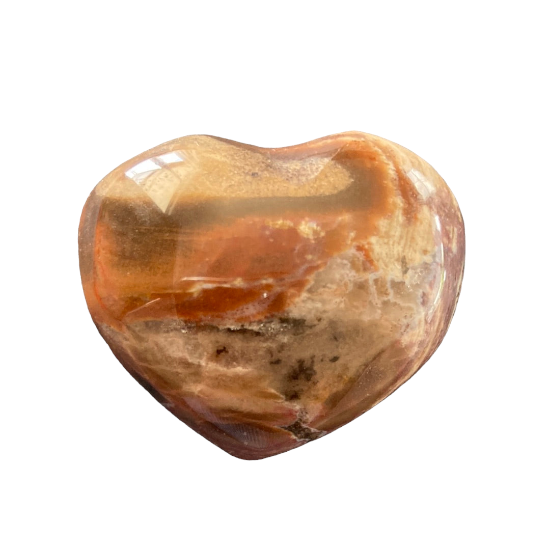 32g Petrified Wood Heart