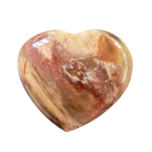 78g Petrified Wood Heart