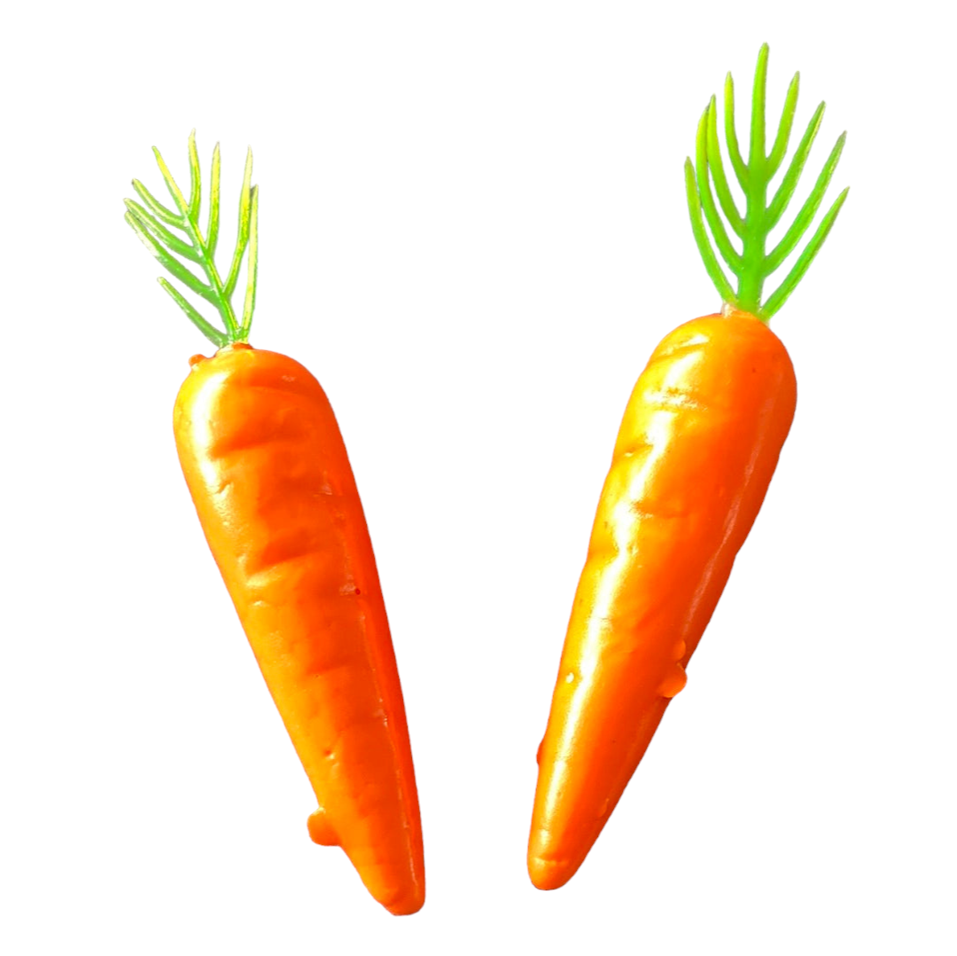 Carrot Fairy Garden Accessories