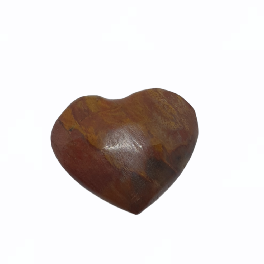 12g Petrified Wood Heart