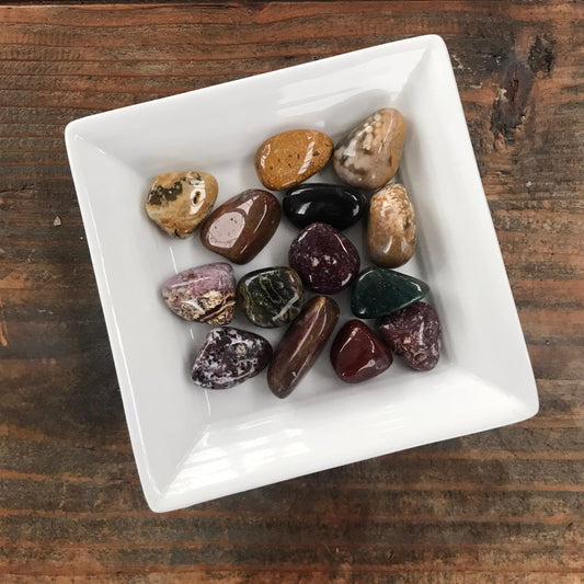 5-10g Ocean Jasper $3 Tumble