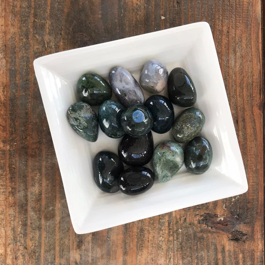 10-15g Moss Agate $4 tumble
