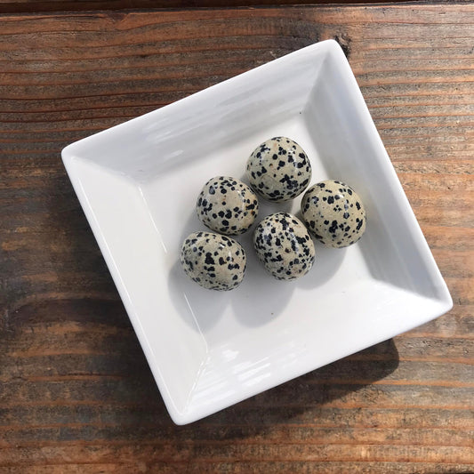 15-20g Dalmatian Jasper $5 tumble