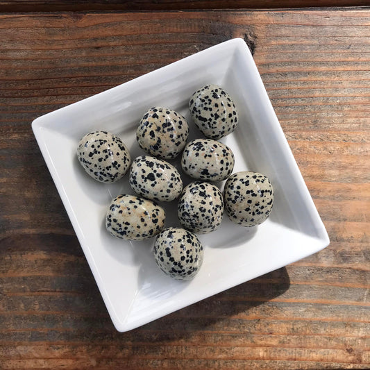 20-25g Dalmatian Jasper $6 tumble
