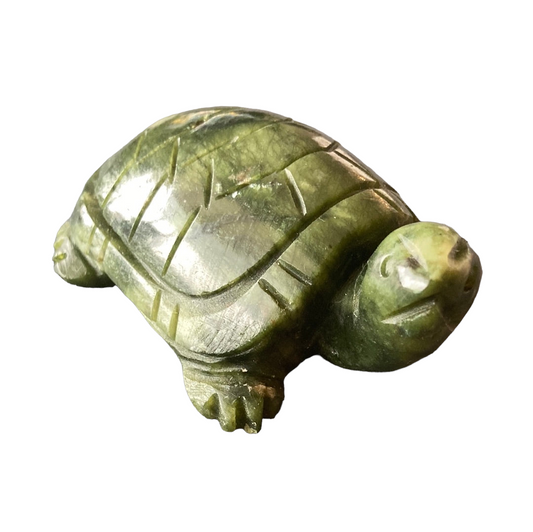 Green Jade Turtle