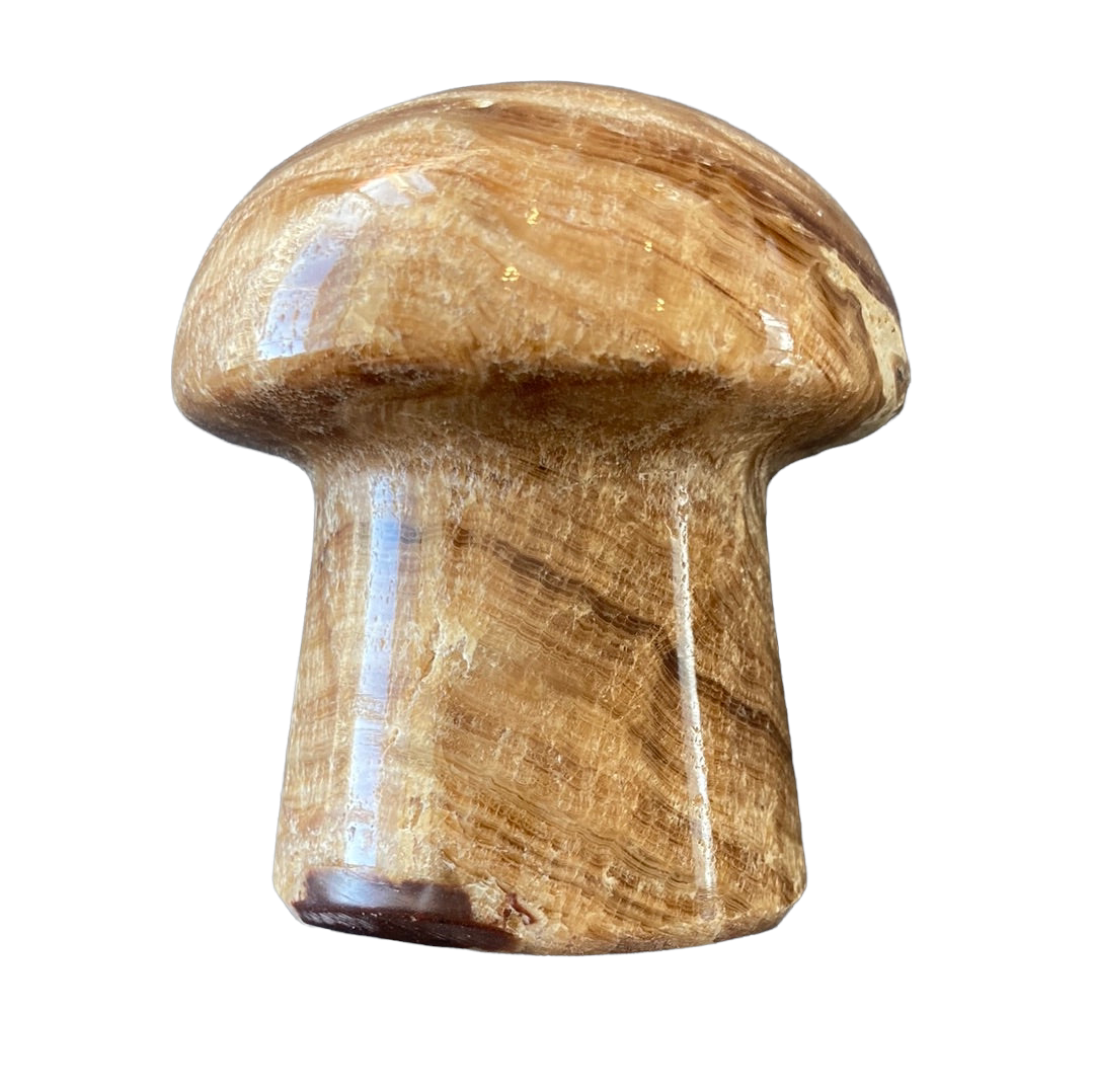 156g Chocolate Calcite Mushroom