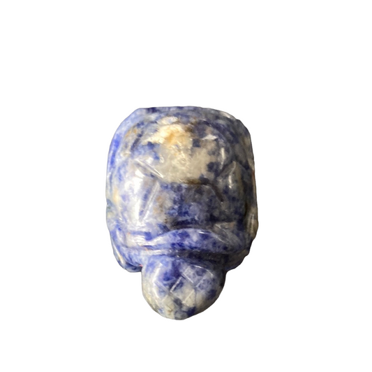 Blue Spot Jasper Turtle