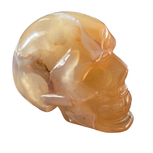 79g Banded Agate Skull