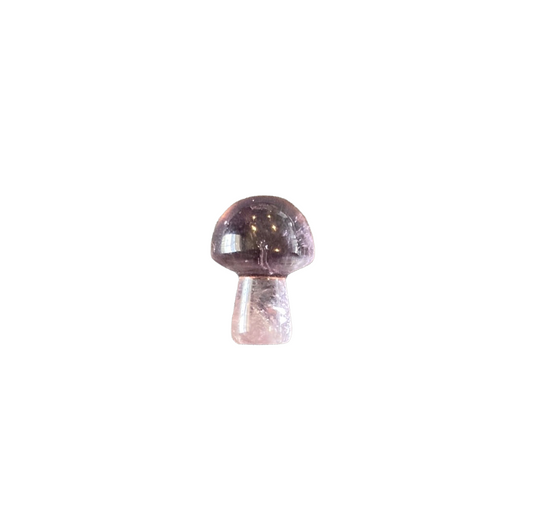 17mm Amethyst Mushroom-amethyst-crystal-nz