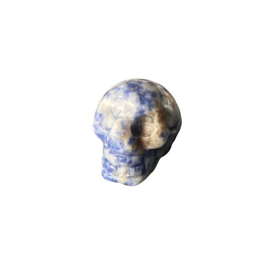 Blue Spot Jasper Skull