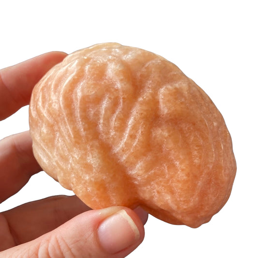 350g Sunstone Brain