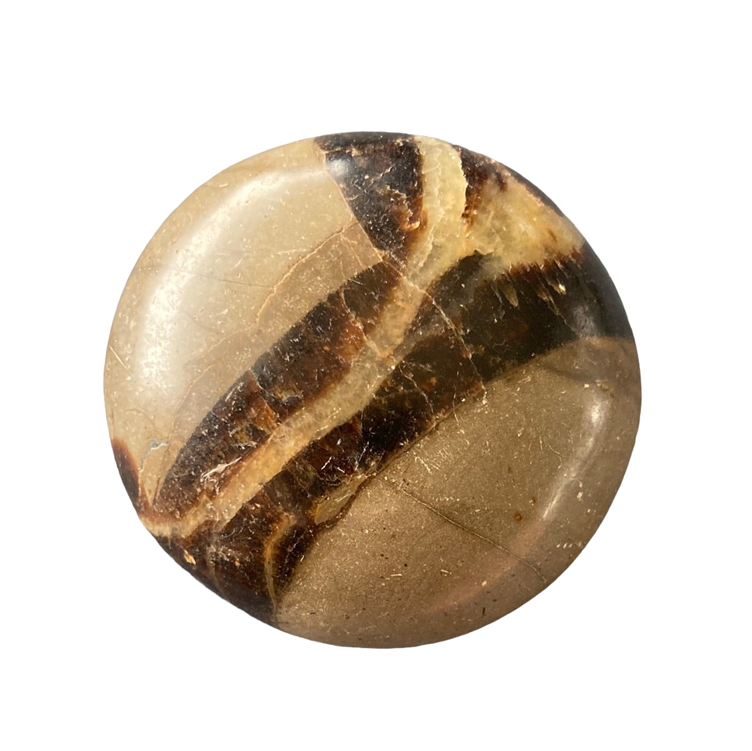 88g Septarian Palm Stone