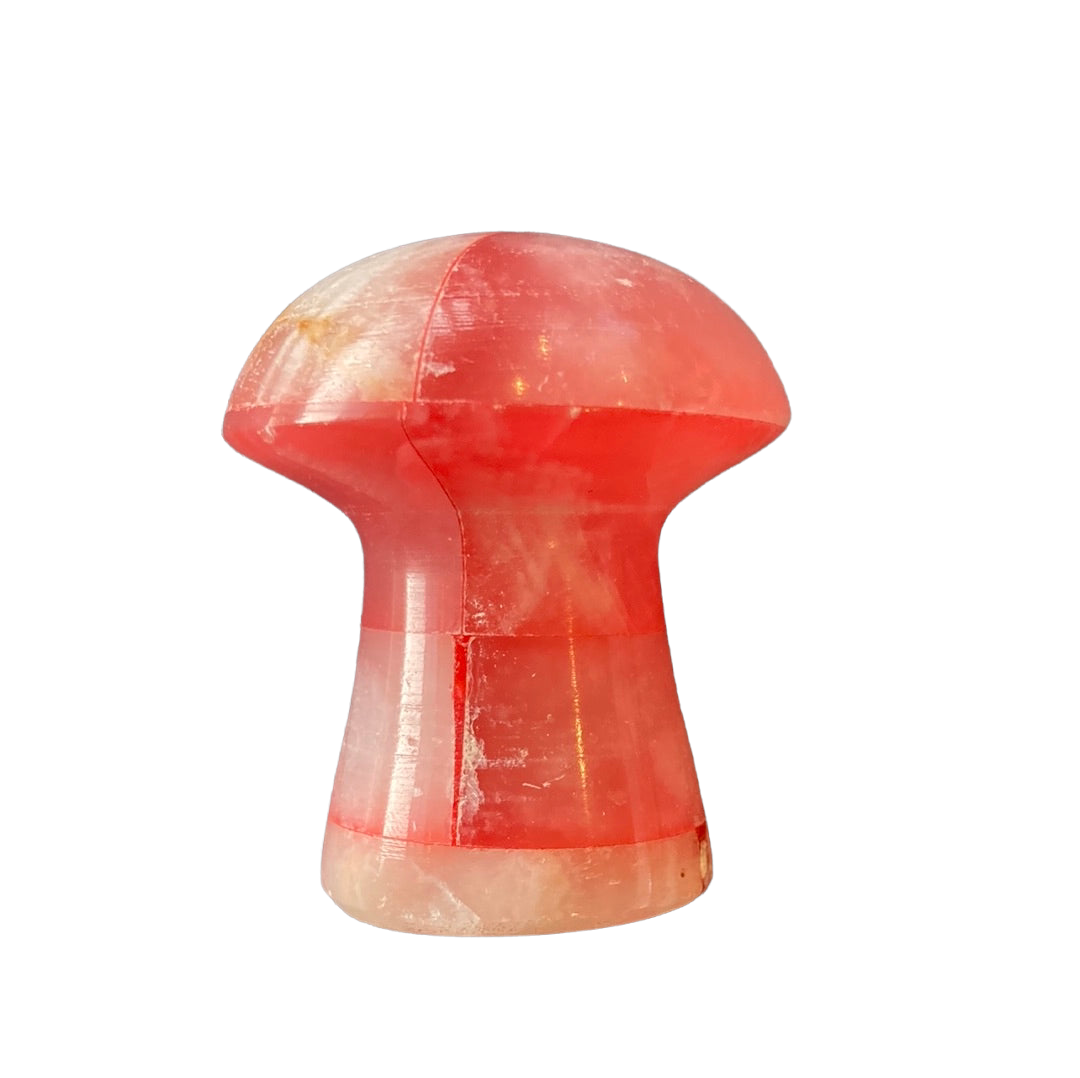 63g Dyed Red Onyx Mushroom