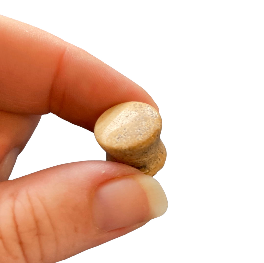 Medium Picture Jasper Stretcher