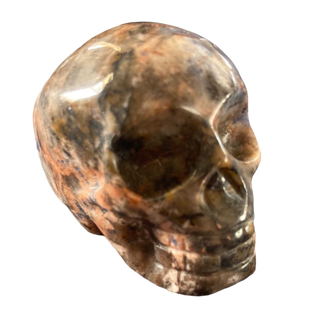 75g Sodalite Skull