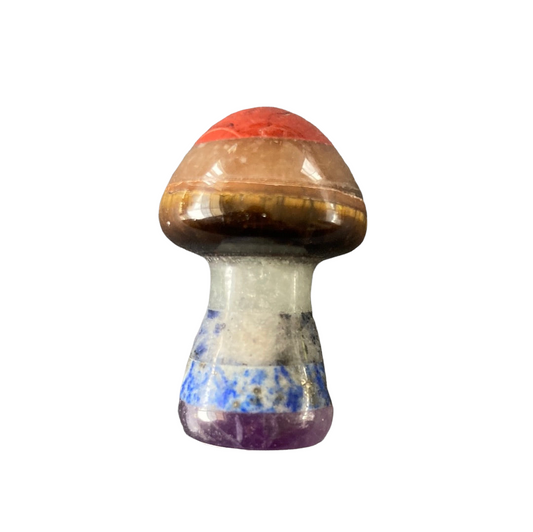 Chakra Mushroom