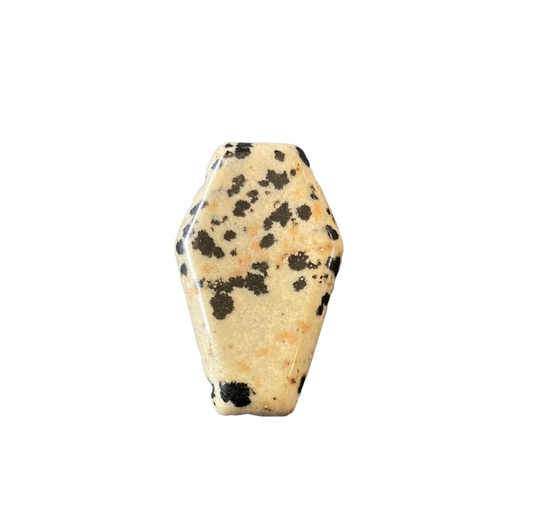 Dalmatian Jasper Coffin