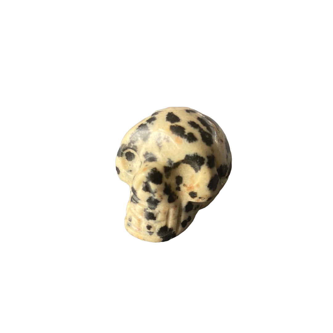 Dalmatian Jasper Skull