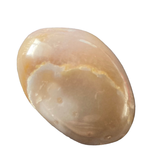 66g Flower Agate Palm Stone