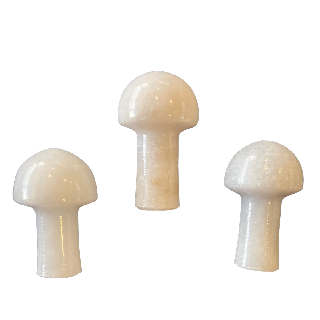 White Jade Mushroom