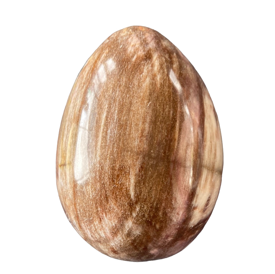 190g Petrified Wood Egg