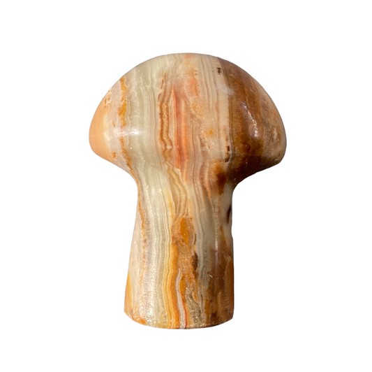 76g Banded Onyx Mushroom