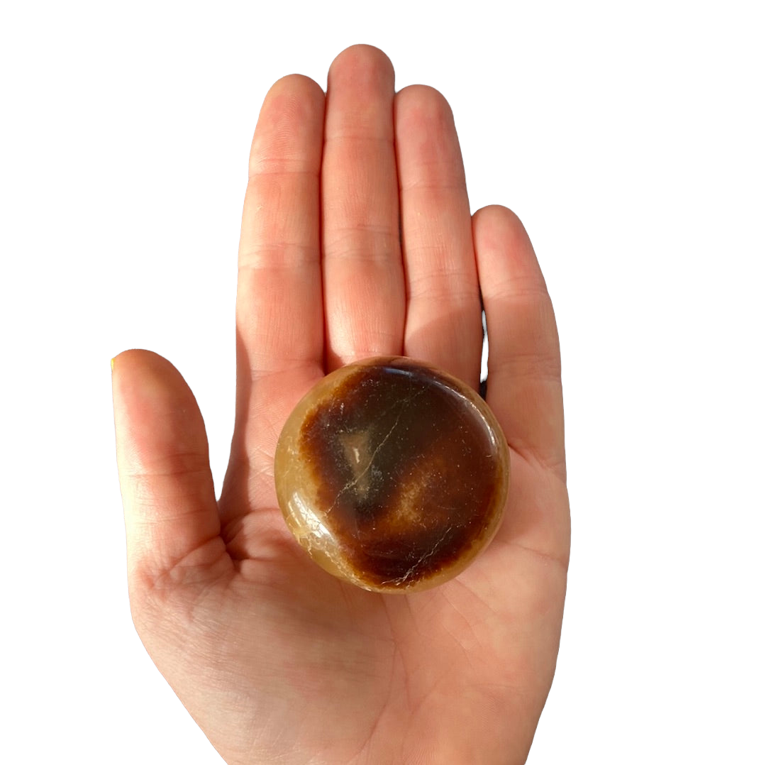 100g-150g  Septarian Palm Stone (random pick)