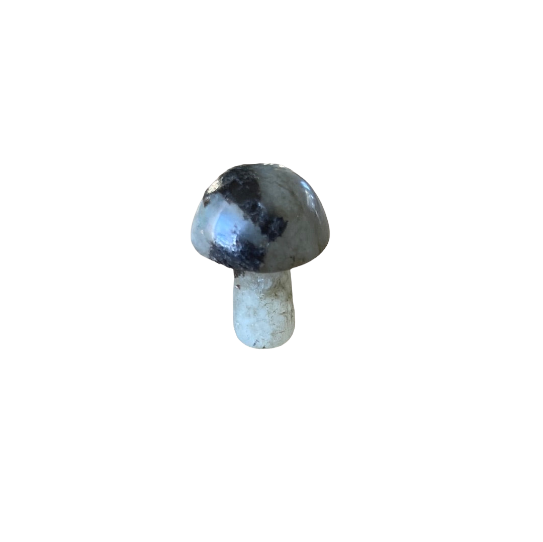 20mm Labradorite Mushroom