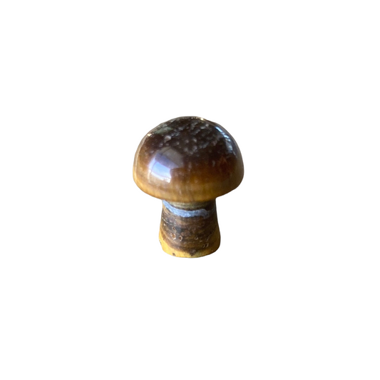 20mm Tiger Eye Mushroom