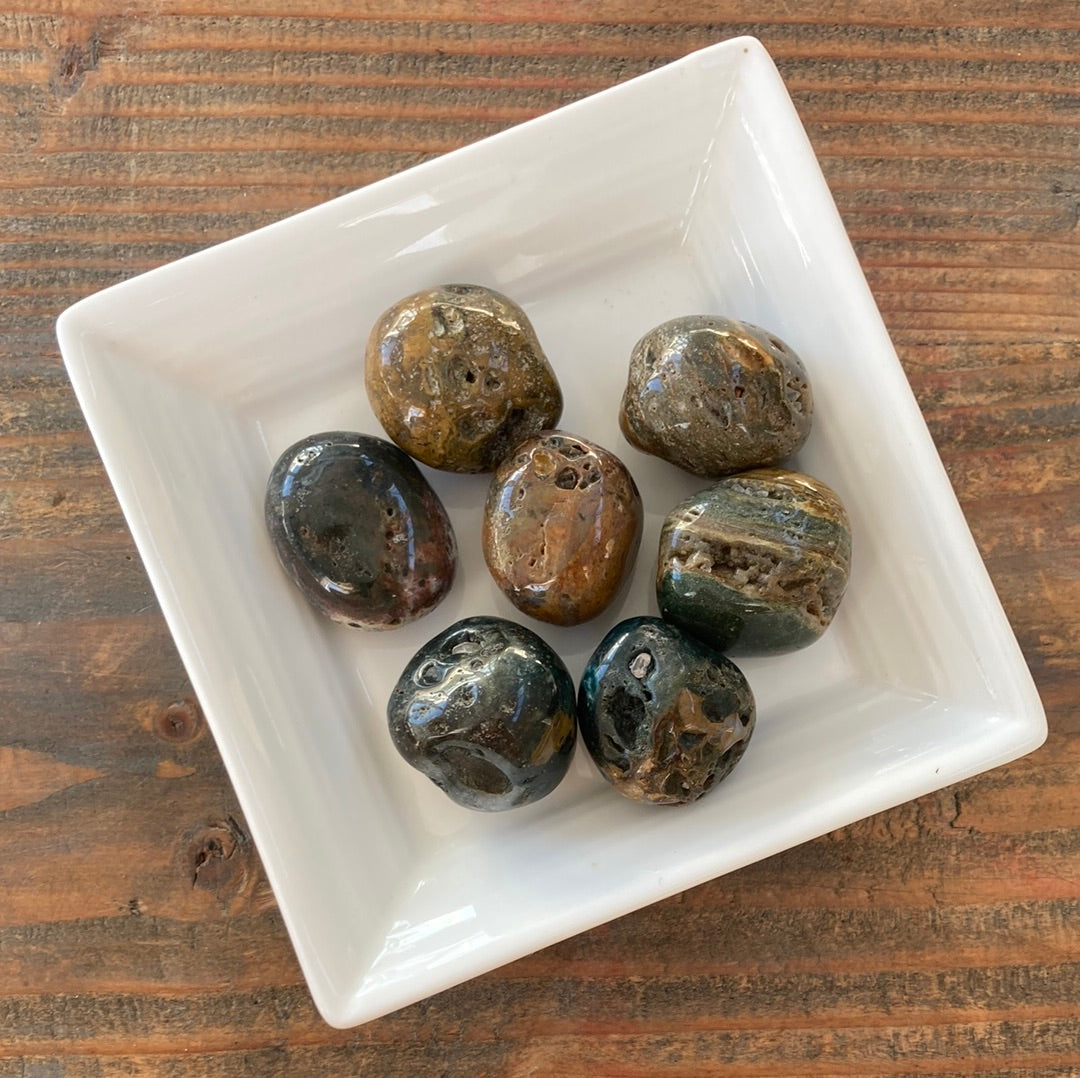 20-25g Ocean Jasper Tumble